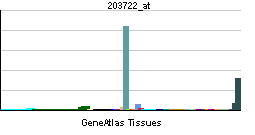 Aldehyde dehydrogenase 4 family, member A1